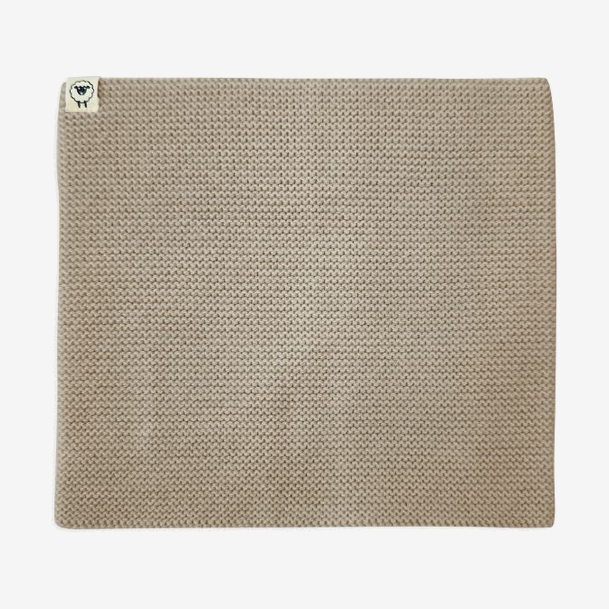 Loop Leo in new sand